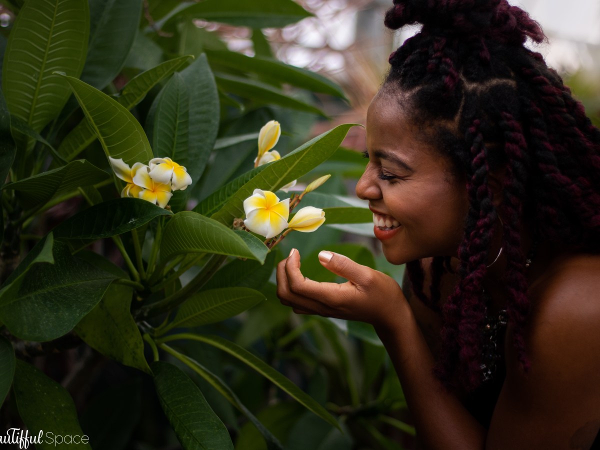 Can Broken Wings Still&nbsp;Fly?